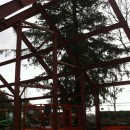 Fire Escapes Sherborne